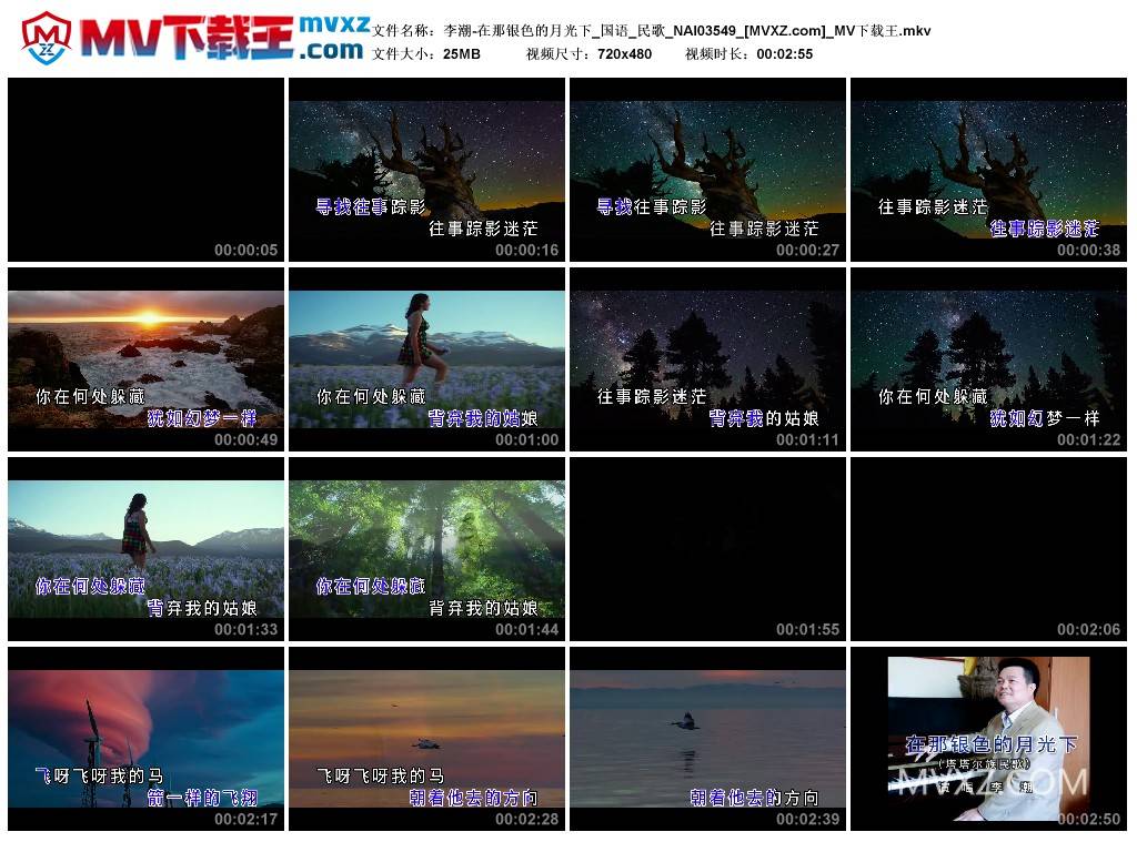 李潮-在那银色的月光下_国语_民歌_NAI03549